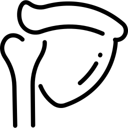 omoplato omoplato